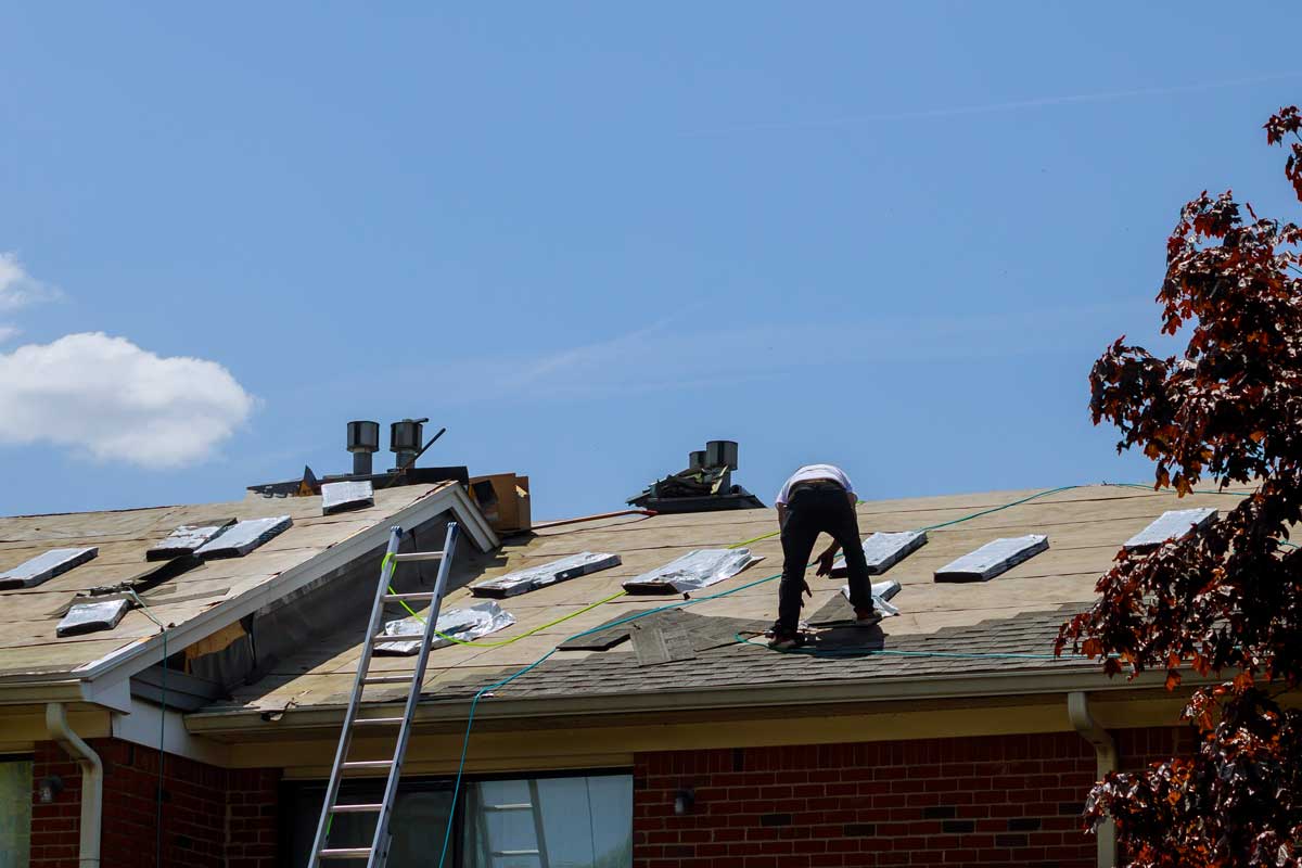 An adult works on a roof on a sunny day. The roof is partly uncovered, with grey shingles exposed. There is a ladder leaning against the side of the roof. The house is made of red brick.