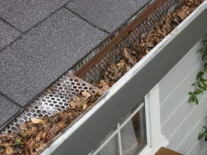 Photo: Gutter Guards